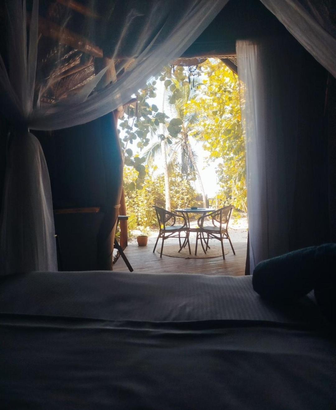 Nueva Onda Bed & Breakfast Palomino Luaran gambar