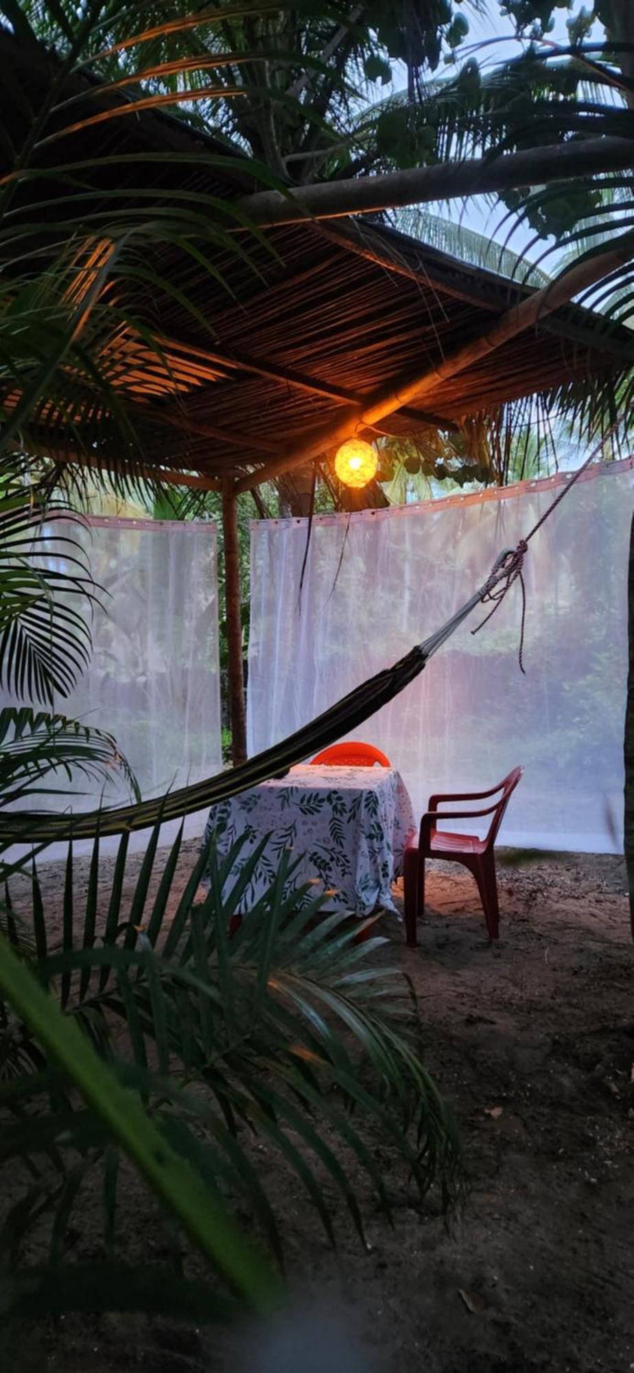 Nueva Onda Bed & Breakfast Palomino Luaran gambar