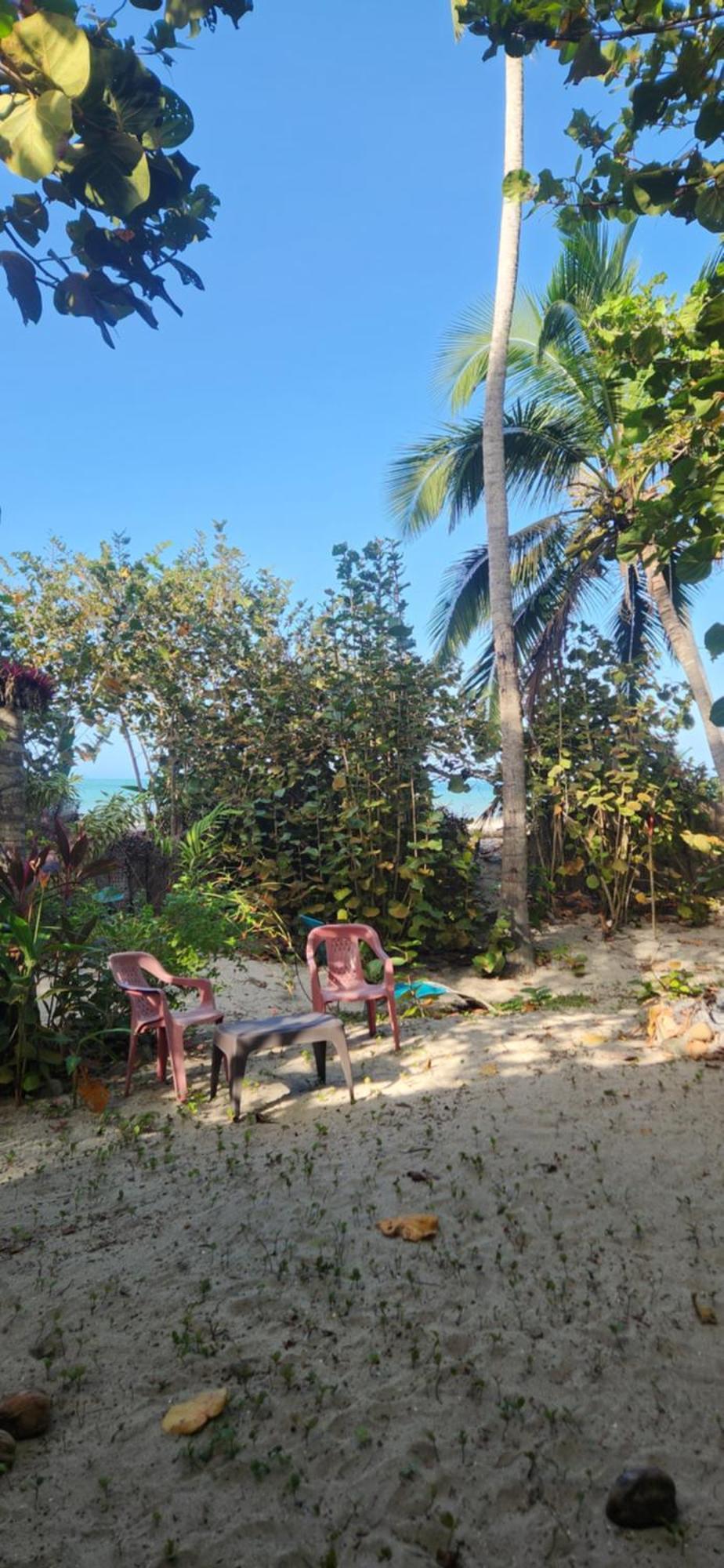 Nueva Onda Bed & Breakfast Palomino Luaran gambar