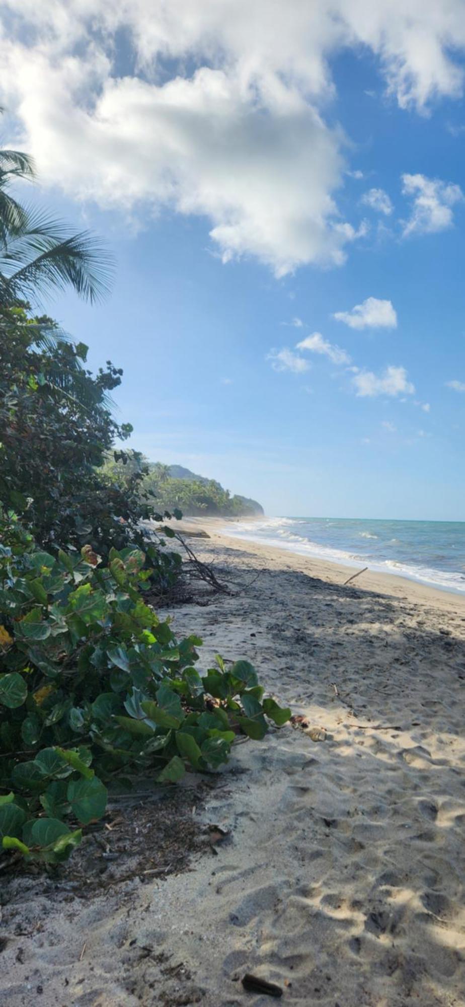 Nueva Onda Bed & Breakfast Palomino Luaran gambar